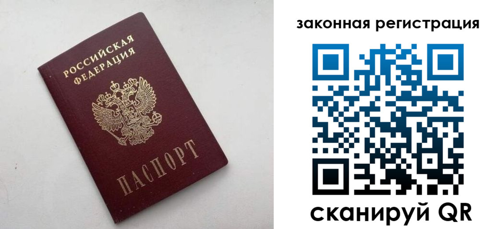 прописка гарантия в Воронежской области